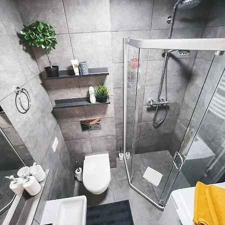 Vytauto 80 Apartment *