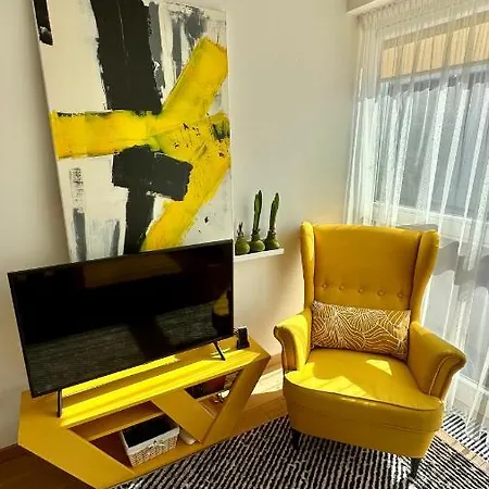 Apartment Vytauto 80