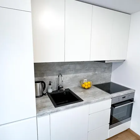 Vytauto 80 Apartment Palanga